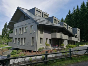 Apartment Draco, Harrachov